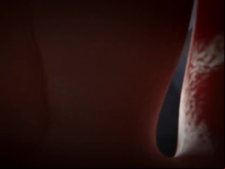 Ada Wong Foot Sniffing Pov